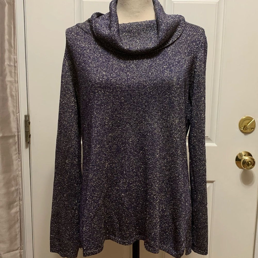 Sweater- Chico’s, size 1.